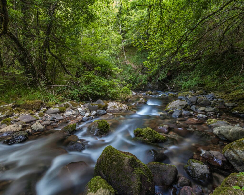 Quoi faire en Nouvelle Calédonie ? Les 32 lieux incontournables ! domaine de déva