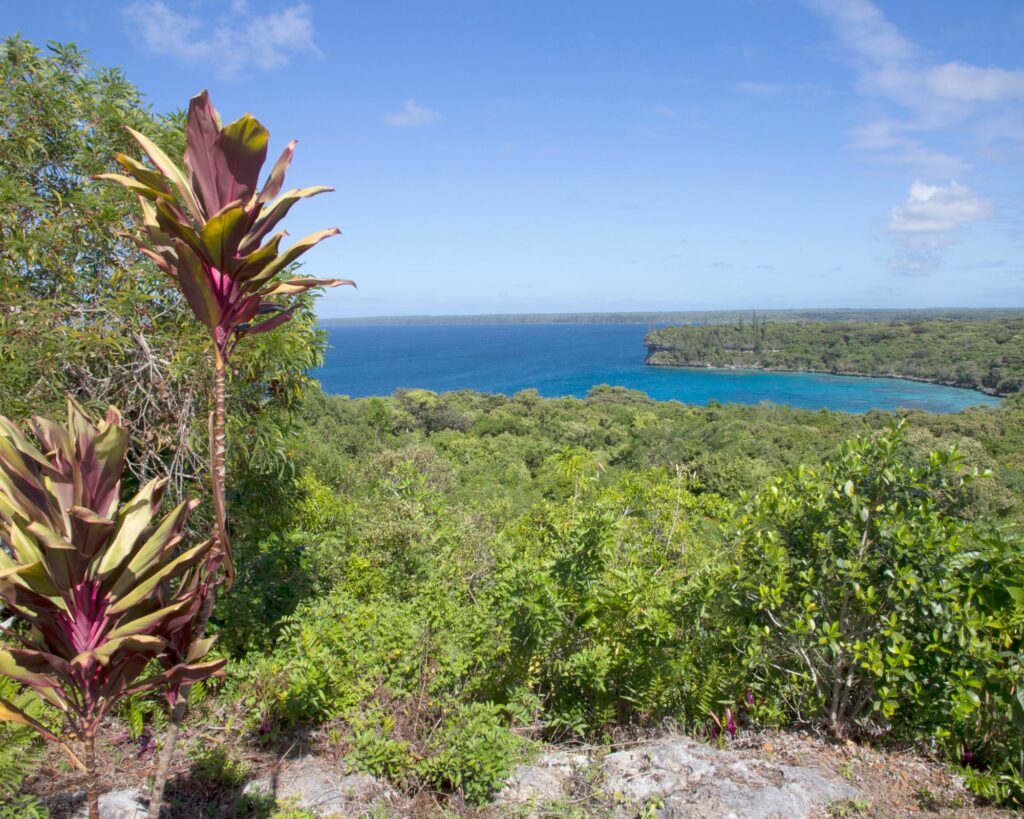 Quoi faire en Nouvelle Calédonie ? Les 32 lieux incontournables ! lifou