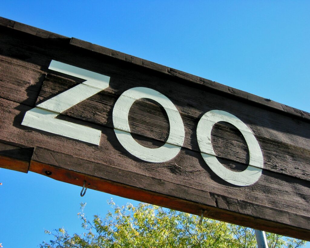 Quoi faire en Nouvelle Calédonie ? Les 32 lieux incontournables ! zoo de nouméa