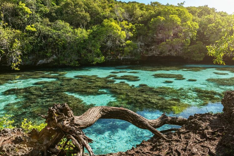 Quoi faire en Nouvelle Calédonie ? Les 32 lieux incontournables !