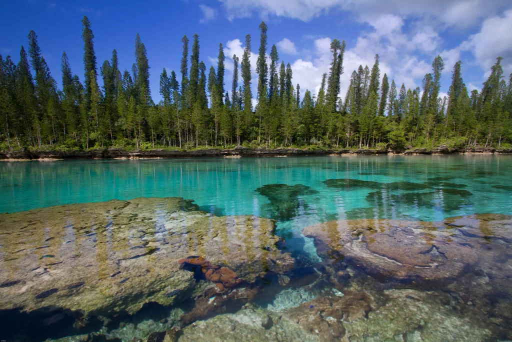 Quoi faire en Nouvelle Calédonie ? Les 32 lieux incontournables ! l'île des pins