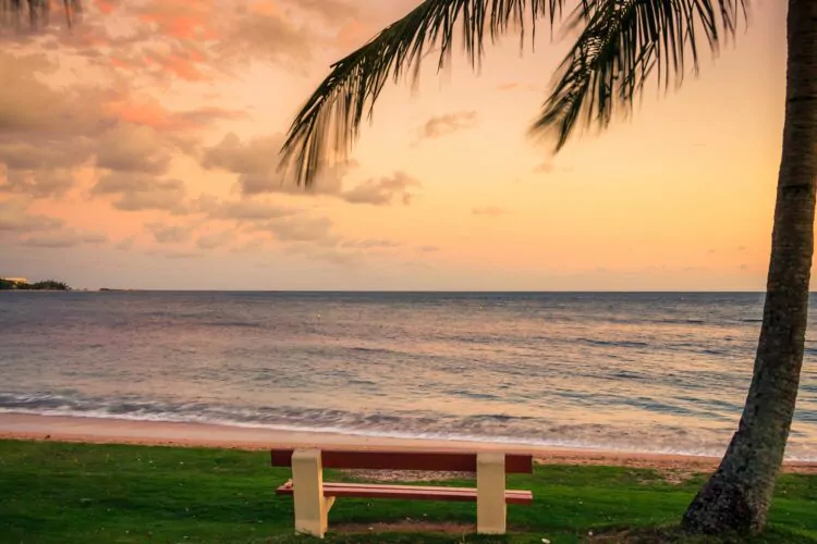 Nouvelle Calédonie, les 11 animaux emblématiques du caillou